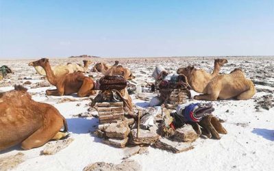 Danakil Depression Semera Tours – 3 Days