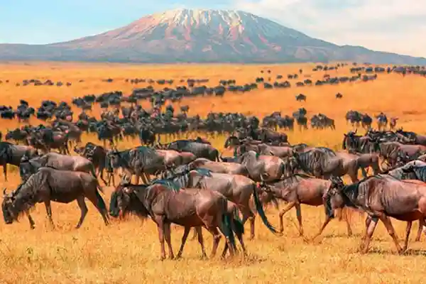 Ethiopia – Kenya Cross Border Tour – 17 days