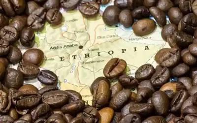 Ethiopian Coffee Tours (Jimma, Yirga Cheffe & Harar) – 10 days