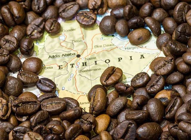 Ethiopian Coffee Tours (Jimma, Yirga Cheffe & Harar) – 10 days