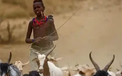 North & South Ethiopia Tours – 21 Days