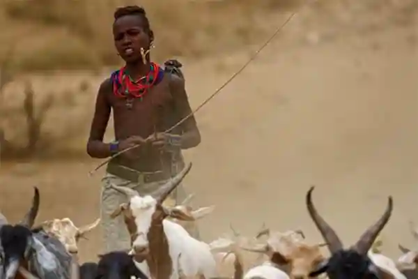 North & South Ethiopia Tours – 21 Days