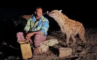 Ethiopian Cultural Tour to the South Omo Valley, Harar & Bale Mountain – 14 Days