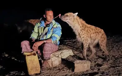 Ethiopian Cultural Tour to the South Omo Valley, Harar & Bale Mountain – 14 Days