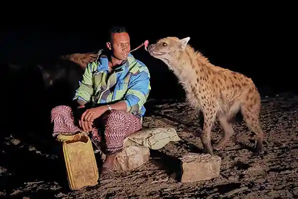 Ethiopian Cultural Tour to the South Omo Valley, Harar & Bale Mountain – 14 Days